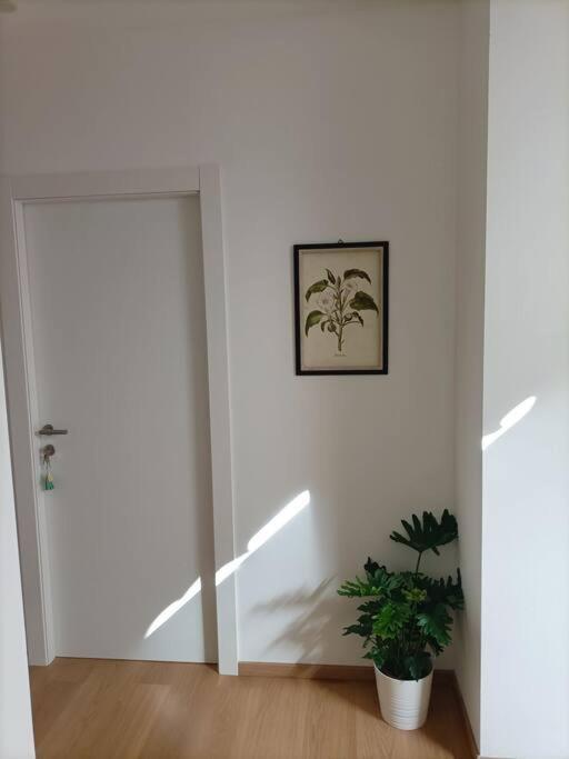Loving My Rooms 1 - Deliziosa Mansarda In Centro Gorizia Exteriör bild
